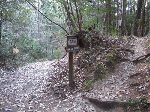 登山道